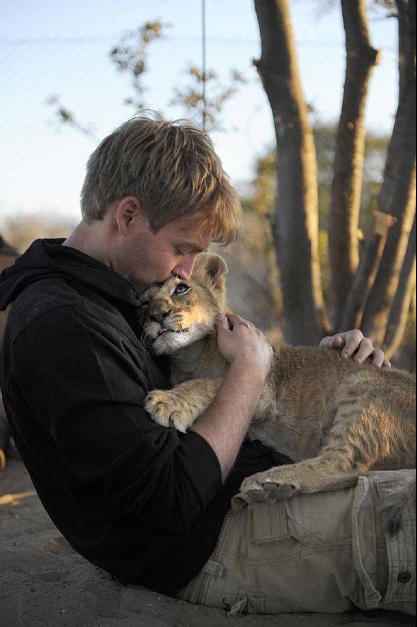 A lioness named Sirga