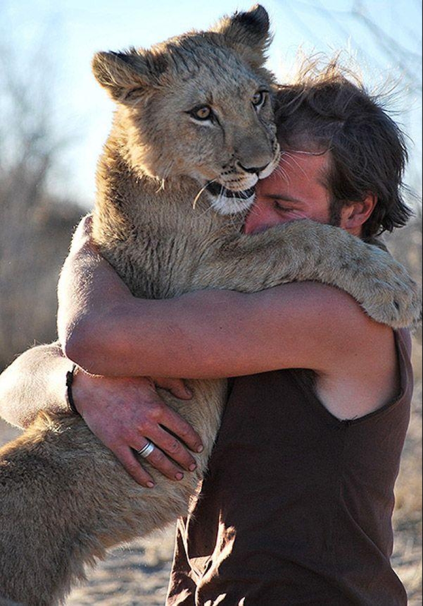 A lioness named Sirga