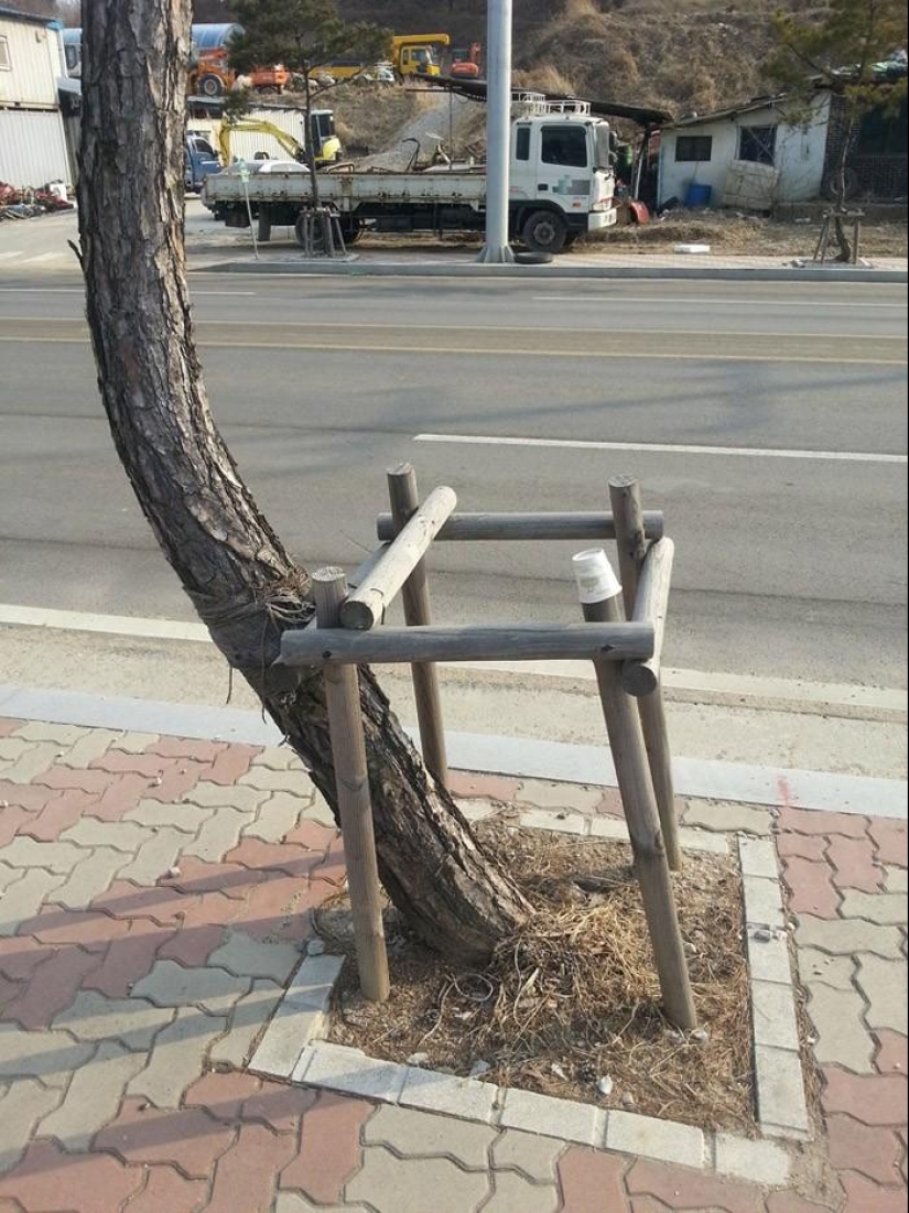 A post for those who at least once in their life violated stupid rules A post for those who at least once in their life violated stupid rules
