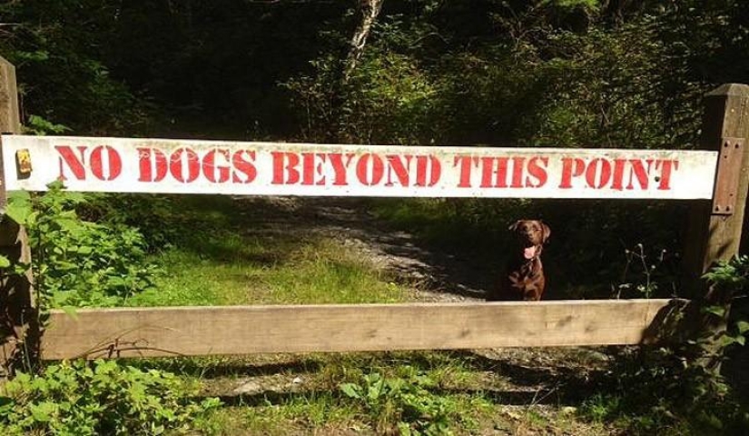 A post for those who at least once in their life violated stupid rules A post for those who at least once in their life violated stupid rules