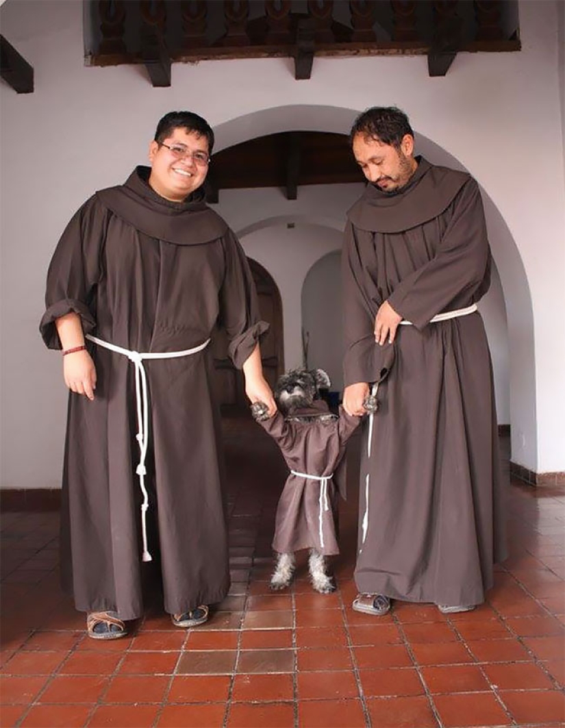 A stray dog became a real Catholic monk