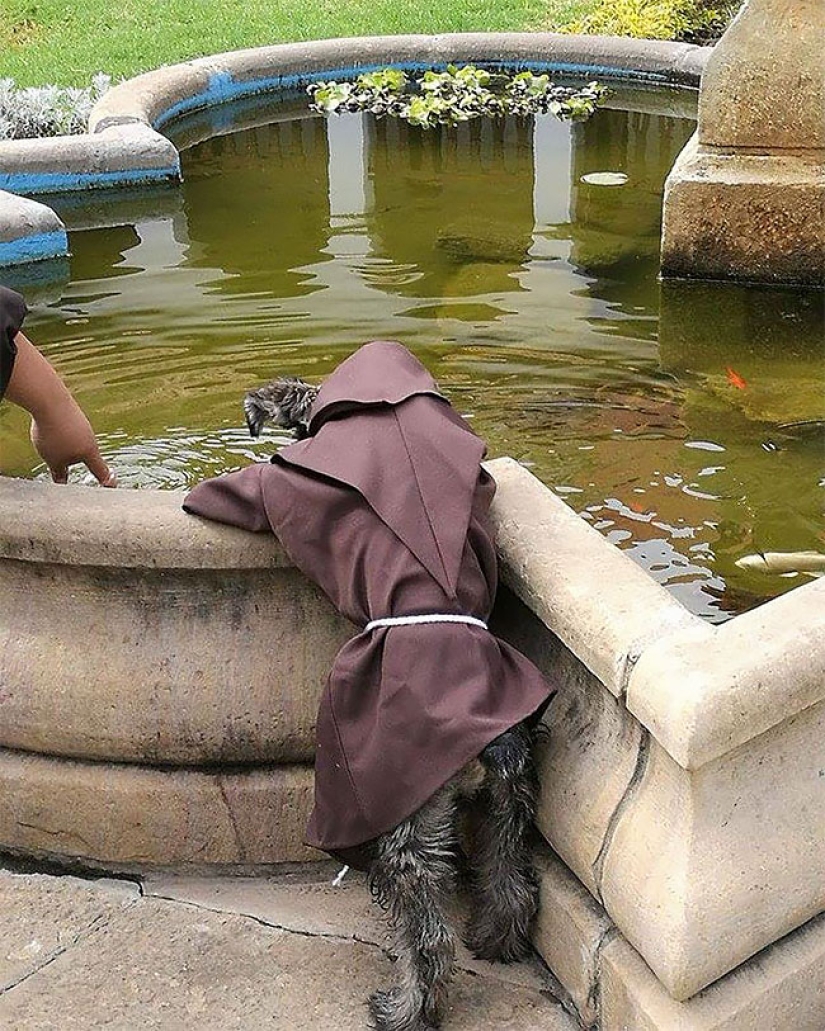 A stray dog became a real Catholic monk