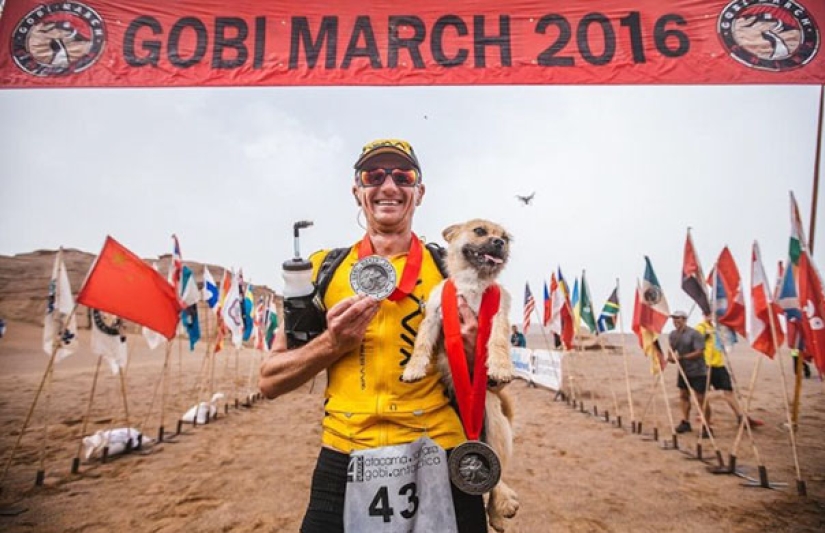 A stray dog ran 40 km after an athlete during a marathon and found a new owner