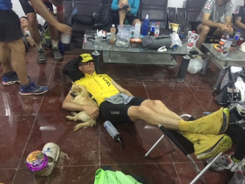 A stray dog ran 40 km after an athlete during a marathon and found a new owner