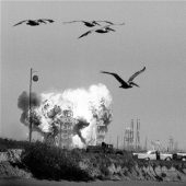 A talented reporter who was incredibly lucky A talented reporter who was incredibly lucky