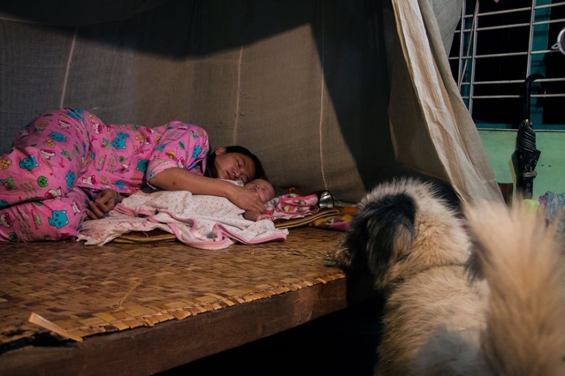 A touching story about a girl who saves stray dogs A touching story about a girl who saves stray dogs