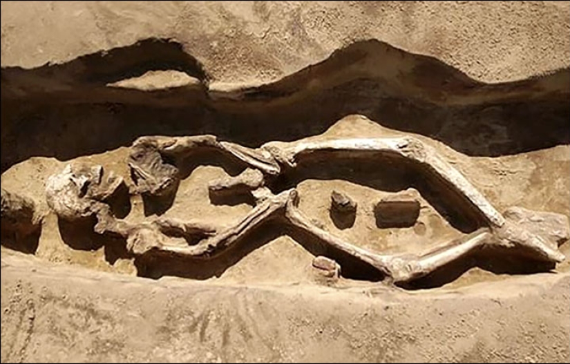A unique burial with a "dancing" skeleton has been discovered in Siberia