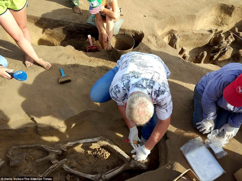 A unique burial with a "dancing" skeleton has been discovered in Siberia