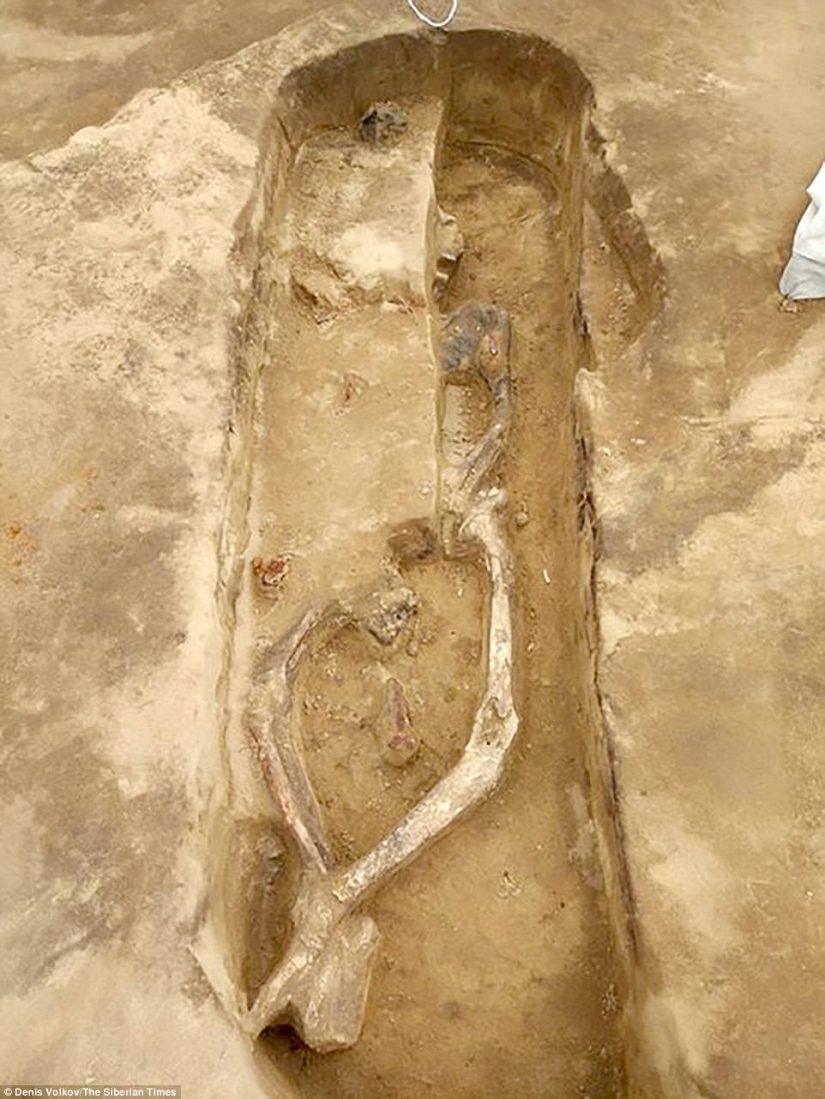 A unique burial with a "dancing" skeleton has been discovered in Siberia
