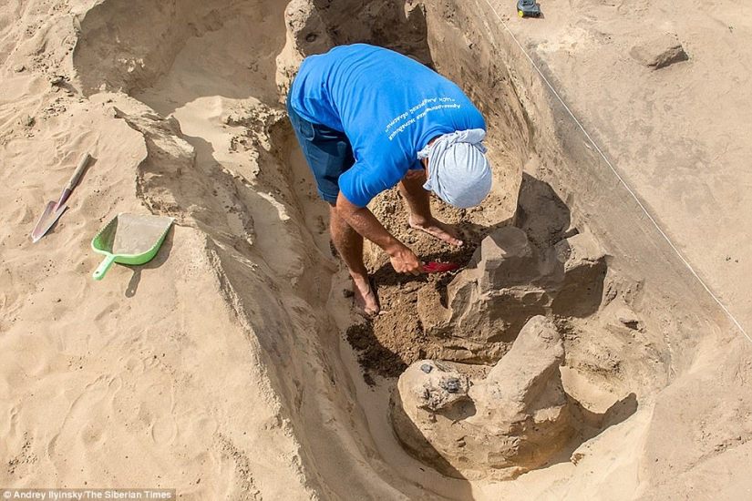 A unique burial with a "dancing" skeleton has been discovered in Siberia
