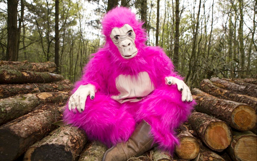 A woman wore fancy dress every day for a whole year. A woman wore fancy dress every day for a whole year.