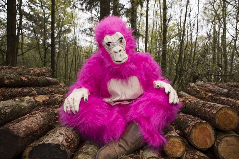 A woman wore fancy dress every day for a whole year. A woman wore fancy dress every day for a whole year.