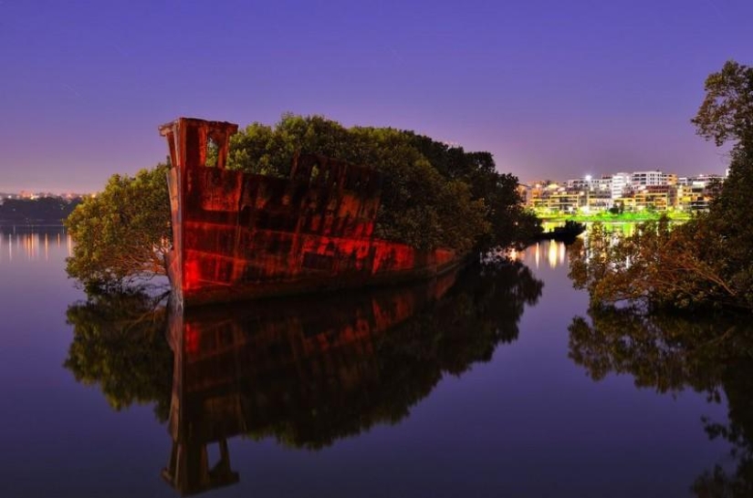 Abandoned ship SS Ayrfield - floating mangrove forest Abandoned ship SS Ayrfield - floating mangrove forest