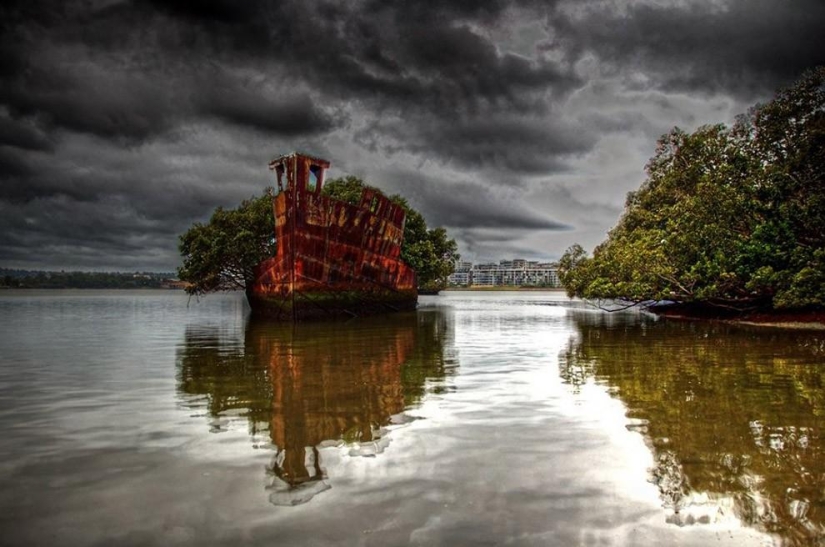 Abandoned ship SS Ayrfield - floating mangrove forest Abandoned ship SS Ayrfield - floating mangrove forest
