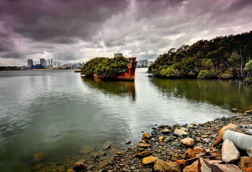 Abandoned ship SS Ayrfield - floating mangrove forest Abandoned ship SS Ayrfield - floating mangrove forest
