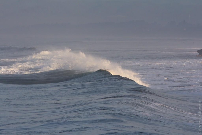 About waves