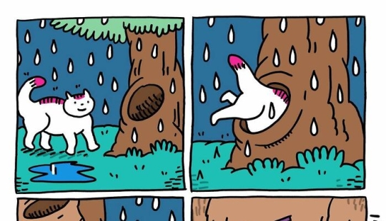 Adorable Wordless Cat Comics By This Dutch Artist