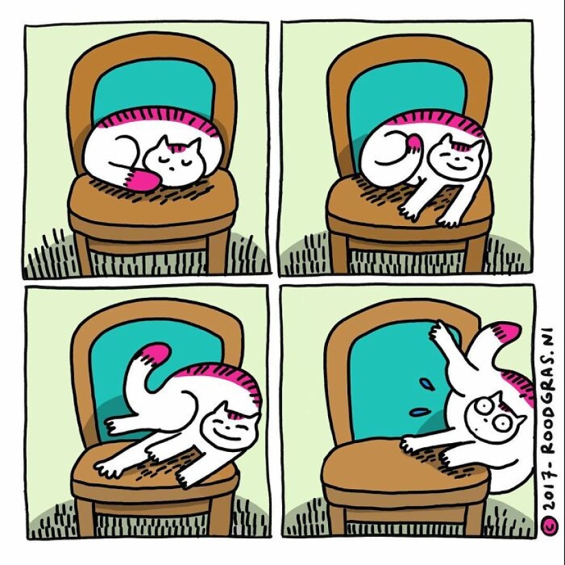 Adorables cómics sin palabras del gato de esta artista holandesa