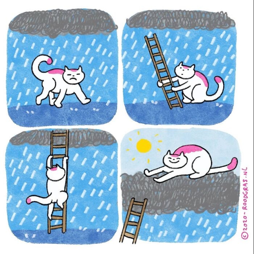 Adorables cómics sin palabras del gato de esta artista holandesa