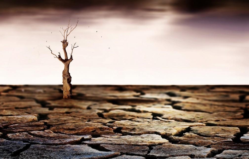 Adrienne Balasco: between heaven and earth