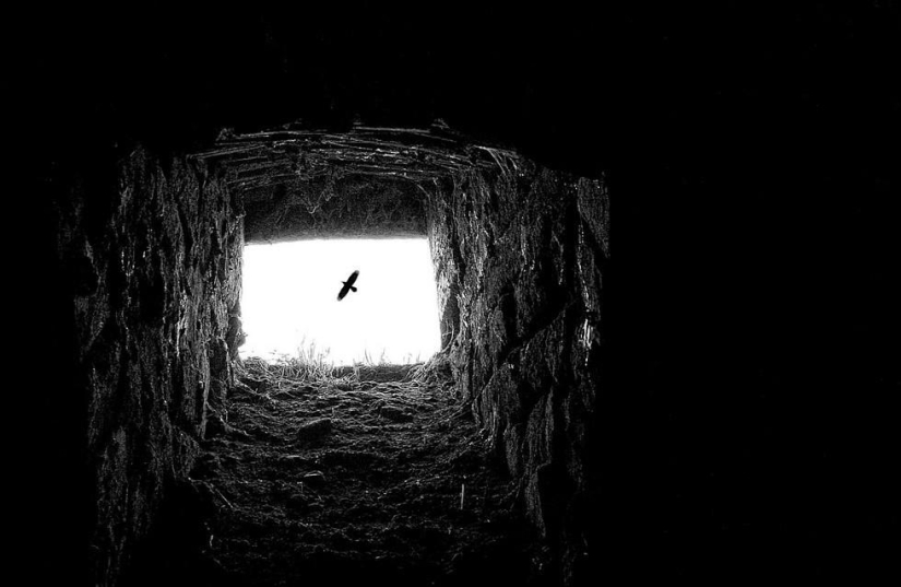 Adrienne Balasco: between heaven and earth