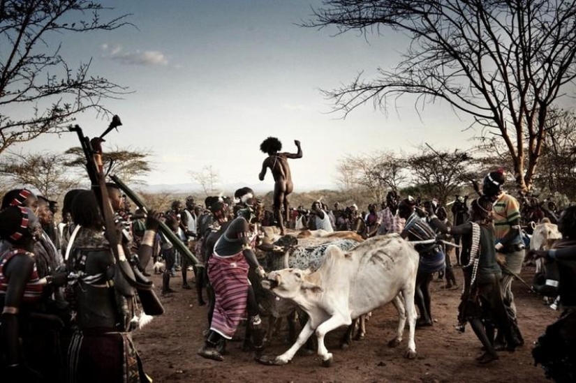 Africa from Sunrise to Sunset: One Day Trip