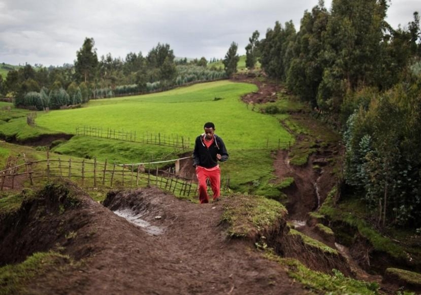 Africa from Sunrise to Sunset: One Day Trip