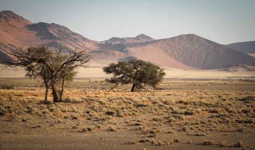 Africa. Namibia. Namib Desert - Sossusvlei Africa. Namibia. Namib Desert - Sossusvlei