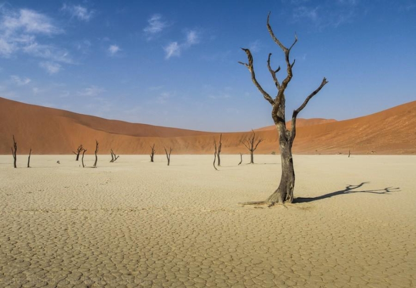 Africa. Namibia. Namib Desert - Sossusvlei Africa. Namibia. Namib Desert - Sossusvlei