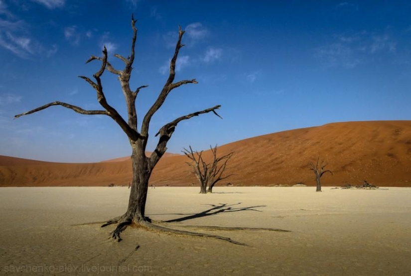 Africa. Namibia. Namib Desert - Sossusvlei Africa. Namibia. Namib Desert - Sossusvlei