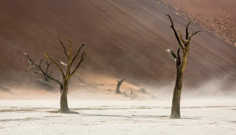 Africa. Namibia. Namib Desert - Sossusvlei Africa. Namibia. Namib Desert - Sossusvlei