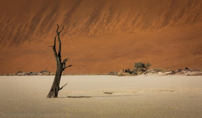 Africa. Namibia. Namib Desert - Sossusvlei Africa. Namibia. Namib Desert - Sossusvlei