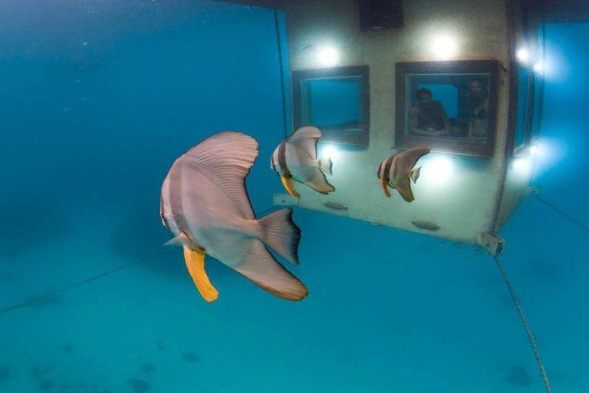 Africa's first underwater hotel room Africa's first underwater hotel room