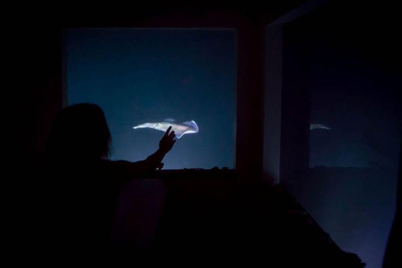Africa's first underwater hotel room Africa's first underwater hotel room