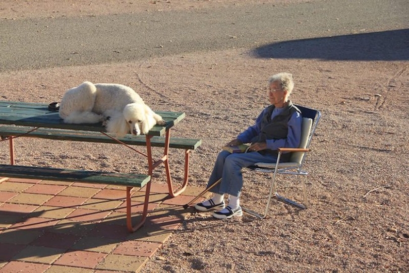 After learning the diagnosis, she refused cancer treatment and went on a road trip After learning the diagnosis, she refused cancer treatment and went on a road trip
