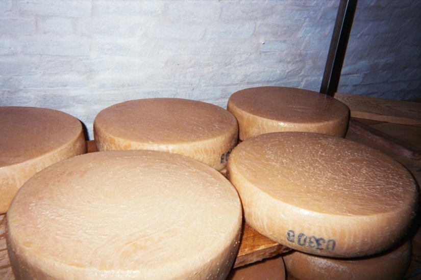 Agujero de queso: Un día en la vida de un quesero de Brooklyn