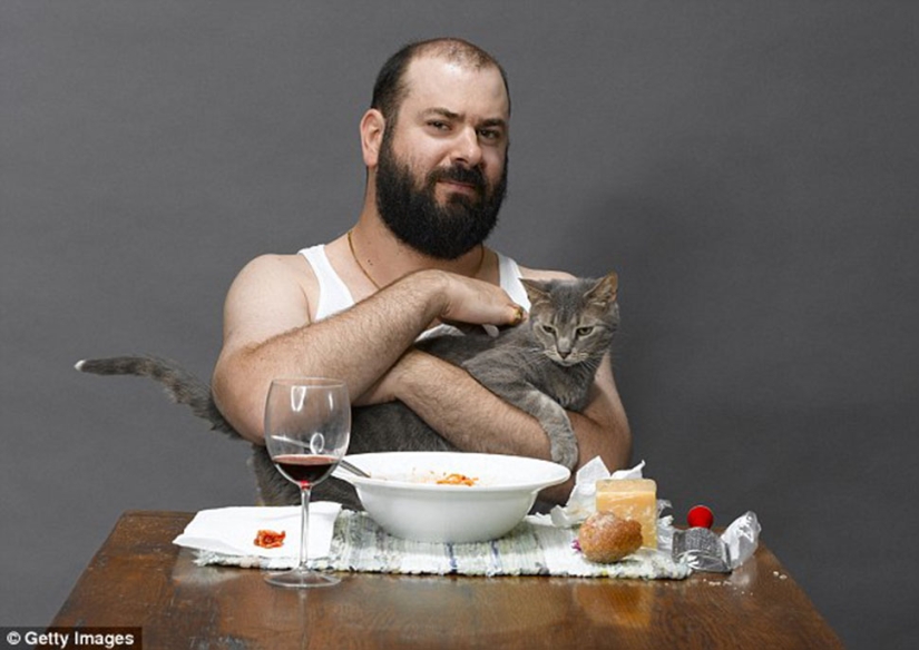 Ahora puedes tintinear vasos y beber con el gato