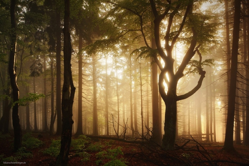 Amazing landscapes inspired by the fairy tales of the Brothers Grimm