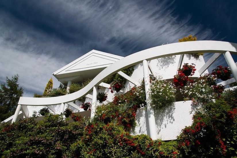 Amazing Maple Glen in New Zealand
