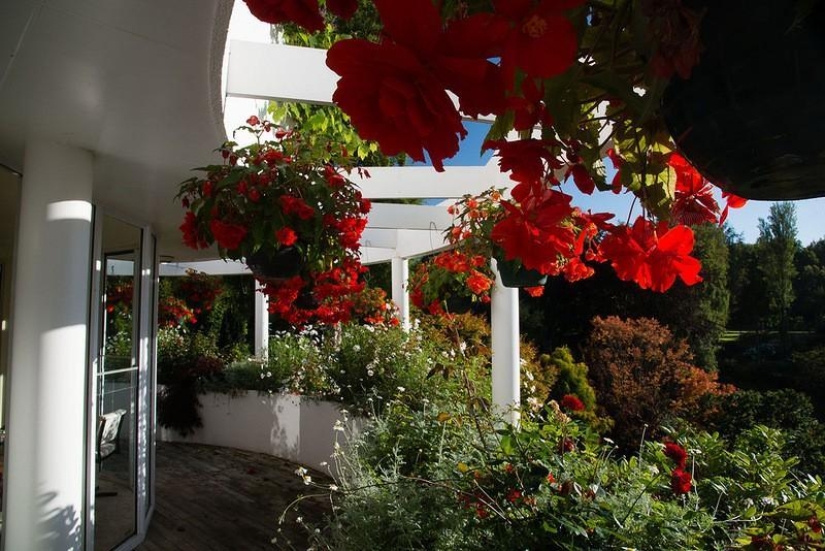 Amazing Maple Glen in New Zealand