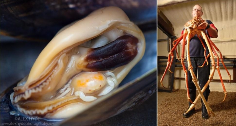 Amazing Nature Games - Big and Small Amazing Nature Games - Big and Small