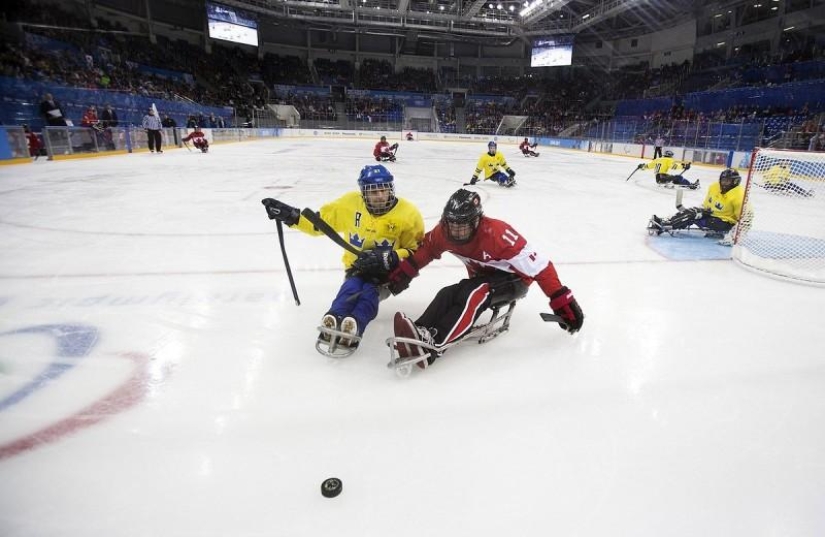 Amazing Winter Paralympics 2014 Amazing Winter Paralympics 2014