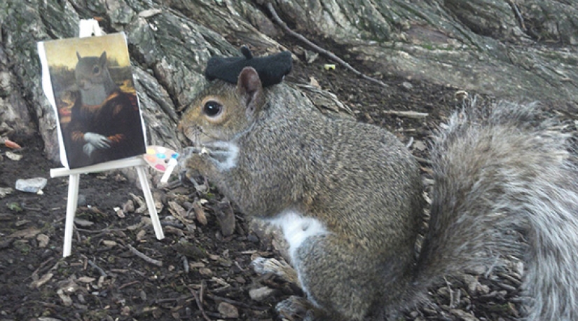 American student makes friends with squirrels and dresses them in different costumes