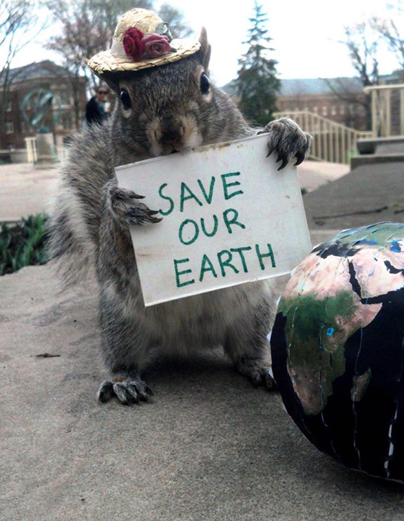 American student makes friends with squirrels and dresses them in different costumes