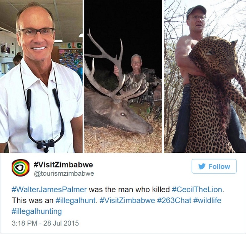 American who killed a famous lion caused a fury on the Internet and closed his dental office