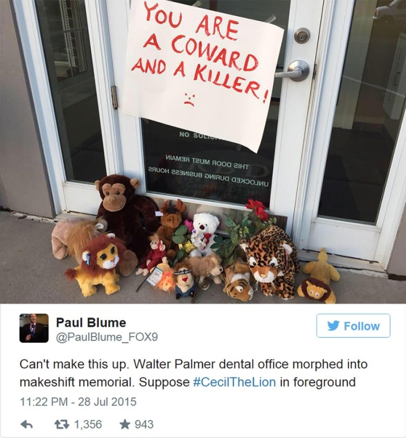 American who killed a famous lion caused a fury on the Internet and closed his dental office