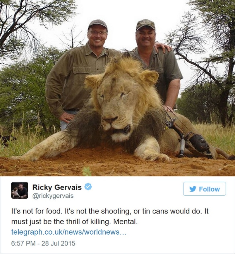 American who killed a famous lion caused a fury on the Internet and closed his dental office