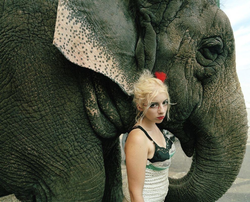 America's Last Circus on wheels