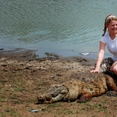 Amigables cocodrilos Pagi