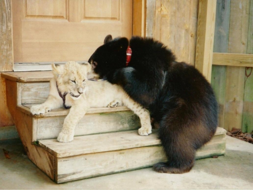 Amistad inusual: han estado juntos durante 13 años.